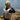 Kids Swim Vest 3-6 Sid the Seagull Mustard Stripe