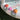 Dive Buddies Poppy The Peach. Multi Set Of 3.