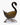 Swan Royal - Wings Down Plumed Black & Gold