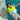 Salty The Shark Swim Vest 2-3 Aqua & Neon Yellow