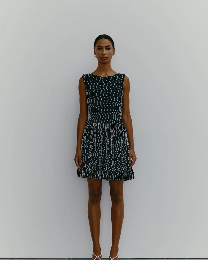 BERTHE MORISOT SKATER DRESS