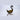 Swan Royal - Wings Down Plumed Black & Gold