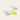 Salty The Shark Dive Buddies. Aqua Neon Yellow Set Of 3.